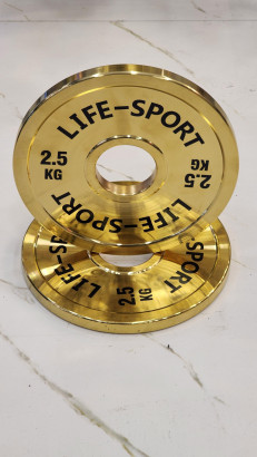 Life Sport Pro Bronze Coating Change Plate 2.5 kg